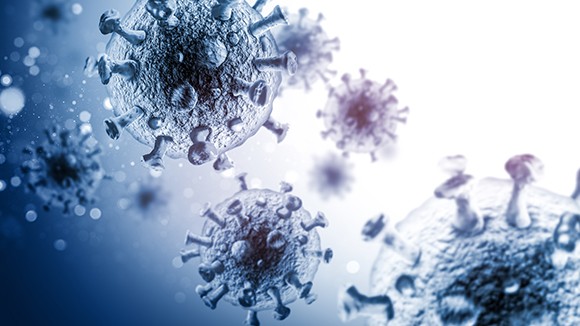 Intranasal live attenuated SARS-CoV-2 vaccine